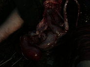 Bloodburster that emerged from Hallet's mouth