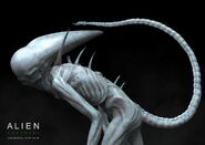 Concept art of the infant Neomorph by Colin Shulver.