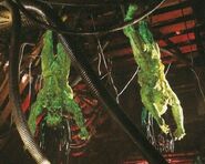 Bonegrill's presumed corpse, skinned alongside another Yautja by the Predalien.