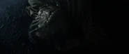 Planet 4 Facehugger.png (793 KB)