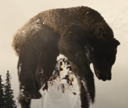 The Feral Predator holding up the carcass of a bear as seen in the 2022 film Prey.
