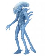 51634-Aliens-S11-blue-alien1-819x1024
