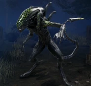 Grid Xenomorph (DBD).png (1.3 MB) Grid Xenomorph cosmetic, from Dead By Daylight