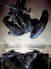 AVPTTBXeno5