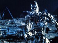 The Terminator endoskeleton from Terminator 2: Judgement Day