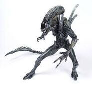 Series 1 figure of the Xeno Warrior.