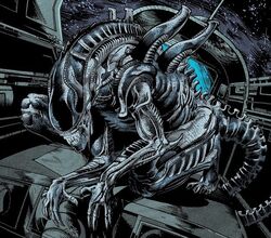 picture Xenomorph Drone Vs Warrior drone xenopedia fandom