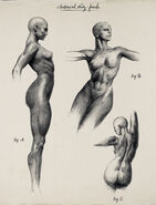 CVuB4Vt.jpg (201 KB) CVuB4Vt