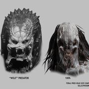 Head size comparison between  and the Feral Predator.