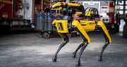 Boston-dynamics-spot