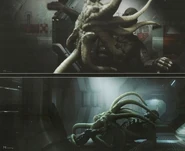 P18510.jpg (28 KB) P18510