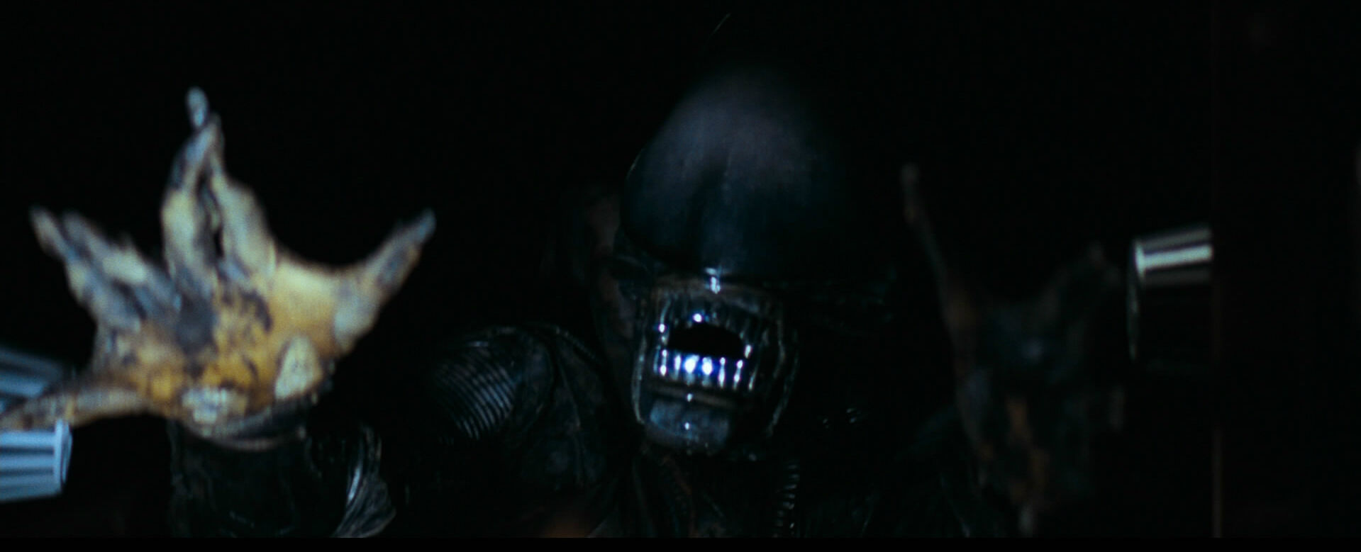 The Alien Xenomorph Xenopedia Fandom