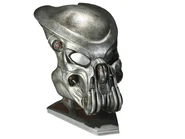 SSC10682.jpg (41 KB) Celtic's bio-helmet.