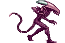 AVP ALIEN-A STAND