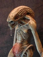 417505-Alien newborn 3