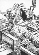 Likowski's facehugger.