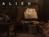 Advent (short film)