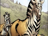 Unnamed Ungulate Species