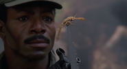 Dillon stares down a scorpion that Mac stabbed off of his back.