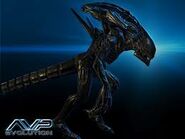 A Praetorian in AVP: Evolution.