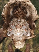 Feral Predator's Bio-mask technology.