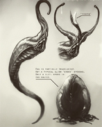 A new type of egg and a new alien creature
