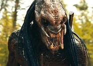 The Feral Predator unmasked.