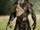 Falconer Predator