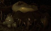 LogFlower07