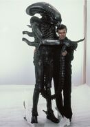 Fatherandson.jpg (131 KB)