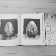 David's Drawings Center page