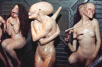 Ripley 4-6