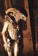 A runner standing up..jpg (310 KB) The Dragon in Alien3.