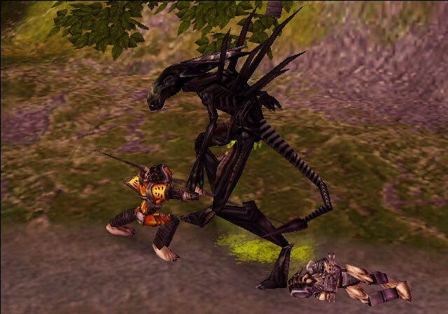 when does avp extinction take place