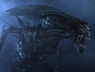 A promotional CGI render of the Antarctic Queen made for the film Alien vs. Predator.