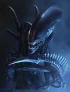 3Alien, aliens vs predator