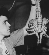 Behind the scene photo of a Facehugger.[44]