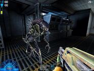 AvP2screenshot001