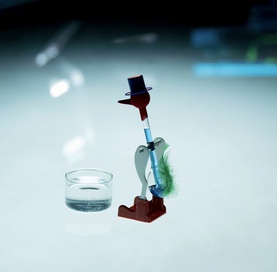 How a drinking bird toy works 