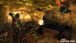 Aliens vs. Predator: Requiem (Video Game)