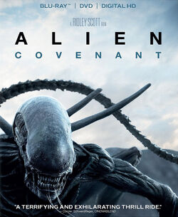 Covenant Blu