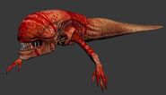 Xeno Chestburster 3D model from Aliens: Colonial Marines