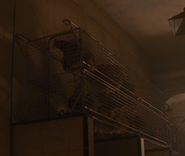 Caged chickens on Fury 161 as seen in the film Alien3.