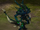 Ravager