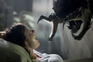 The Predalien about to impregnate a pregnant woman.