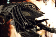 The Predalien's Queen-like headcrest from the film AvP-R