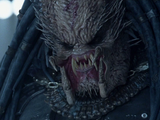 Ancient (Predator)