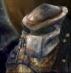 The Alien vs. Predator Hunting Party Joins Predator: Hunting Grounds! - Alien  vs. Predator Galaxy