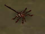 Praetorian Facehugger