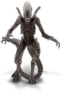 NECA figure of the 'Resurrection Warrior'.